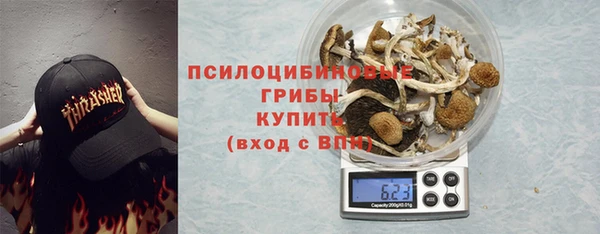 a pvp Алексин