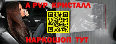 PSILOCYBIN Краснодар