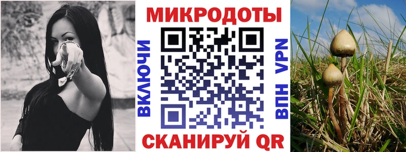 наркошоп  Кинель  Псилоцибиновые грибы ЛСД 