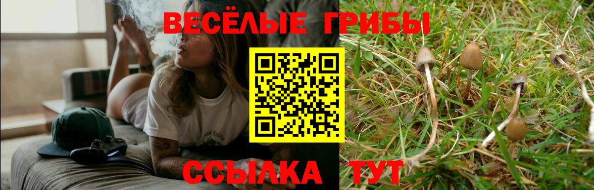Галлюциногенные грибы Psilocybine cubensis Кинель
