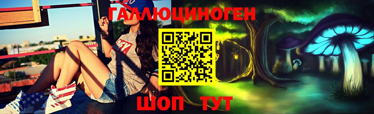 Кинель  Псилоцибиновые грибы Magic Shrooms  Вход с VPN  Галлюциногенные грибы Magic Shrooms 